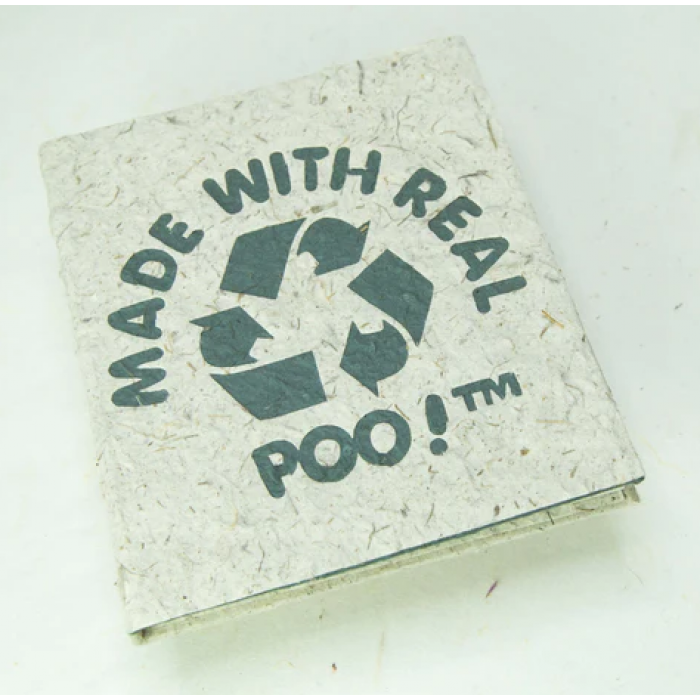 100% Real Poo - Mini Journals