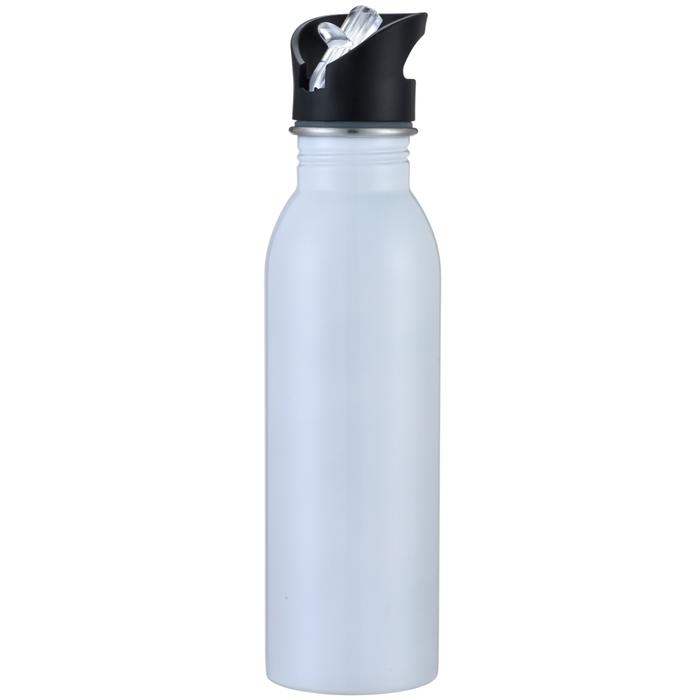 Stainless Steel Drink Bottle with Straw
