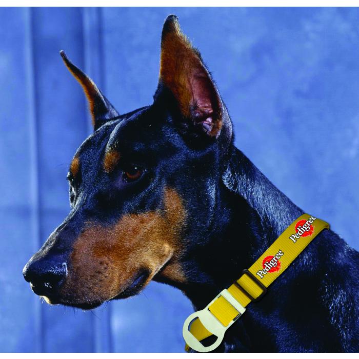 Manâ€™S Best Friend Dog Collar