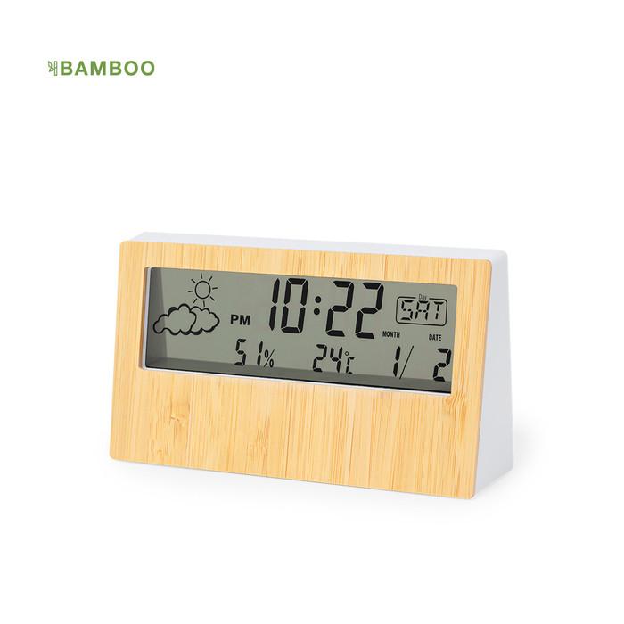 Roamer Weather Station 