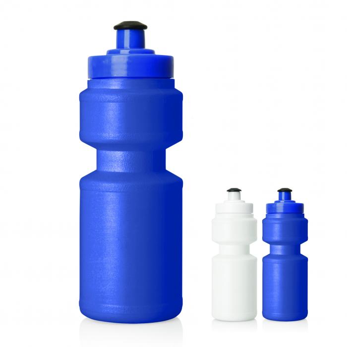 Sports Bottle with Screw Top Lid - 325mL