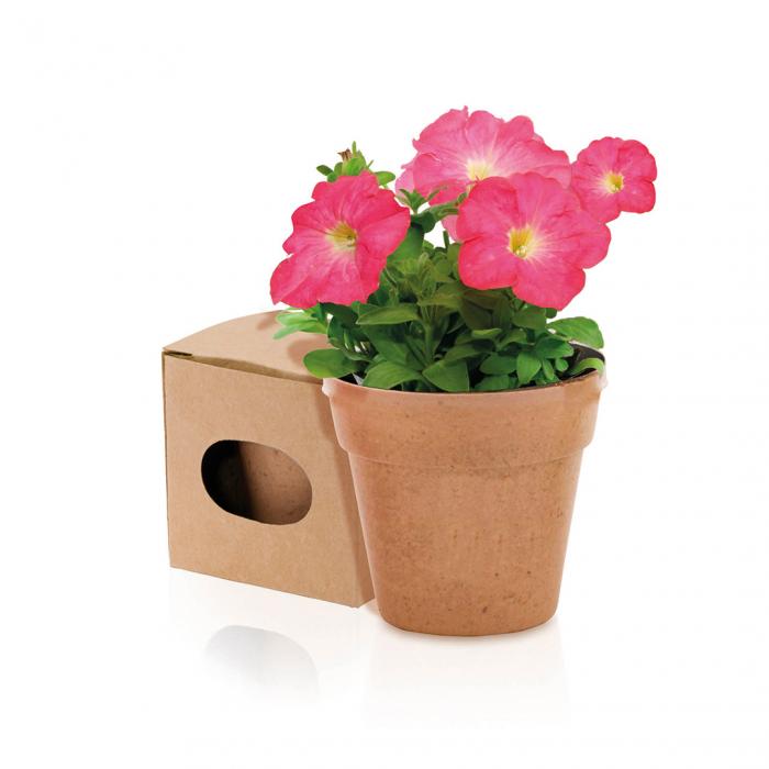 Flowerpot Advert