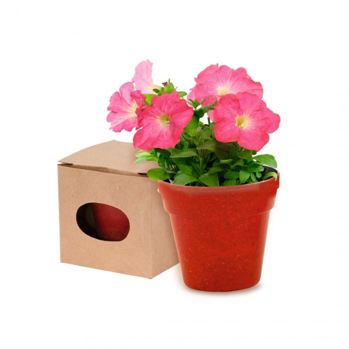 Flowerpot Advert