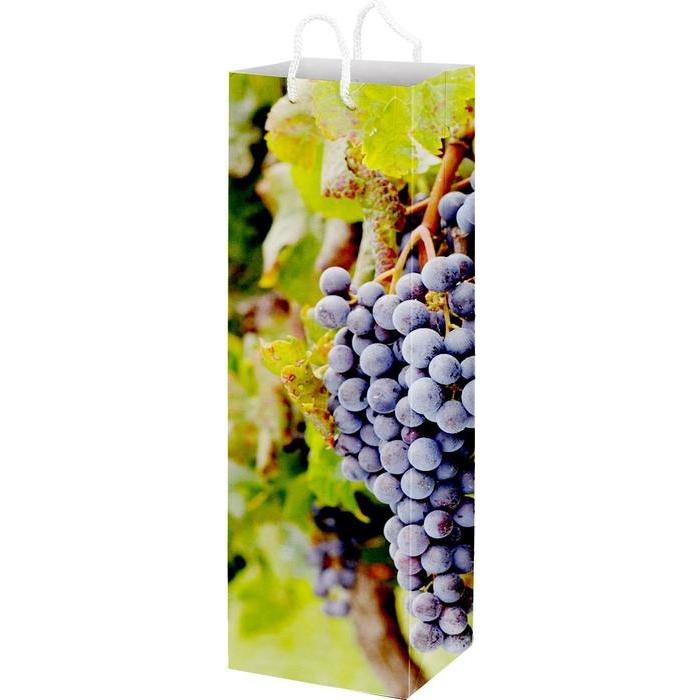 Full Colour Wine Bottle Paper Bag