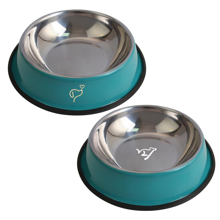 Pet Feeding Bowl