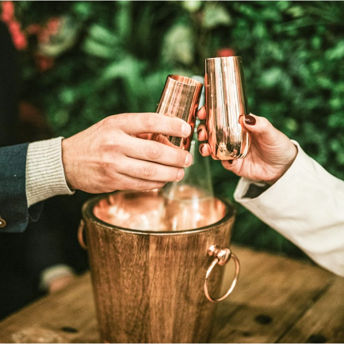 Copper Stemless Champagne Flutes