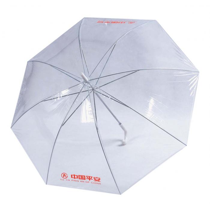 Antarctic Clear Plastic Umbrella
