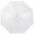 Polyester (170T) umbrella Alfie