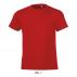 Regent Fit Kids Round Neck T-shirt