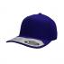 Flexfit 110 Perma Curve Cap