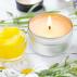 Citronella Natural Insect Repellent Candle