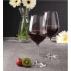 Viola Wine Glass 450ml Set of 6 