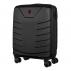 Pegasus Hardside Carry-on