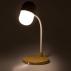 Limited Edition Multifunction Lamp