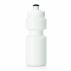 Sports Bottle with Screw Top Lid - 325mL