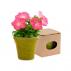 Flowerpot Advert