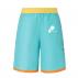 Men's Polyester Sublimated Beach Shorts