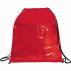 The Guide Clear Drawstring Cinch Backpac