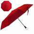 The Windsor Umbrella